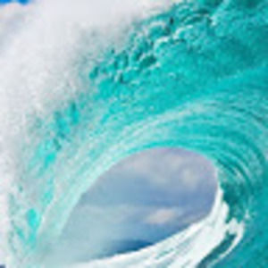 Meet your Posher, Kaiyanne